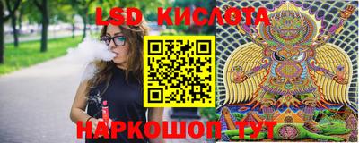 Альфа ПВП Малгобек