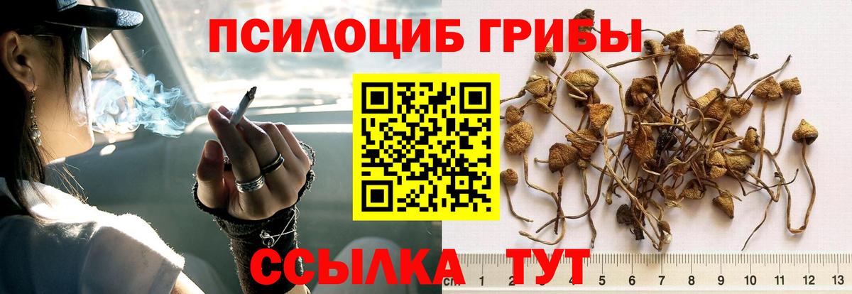 Псилоцибиновые грибы MAGIC MUSHROOMS Усть-Илимск