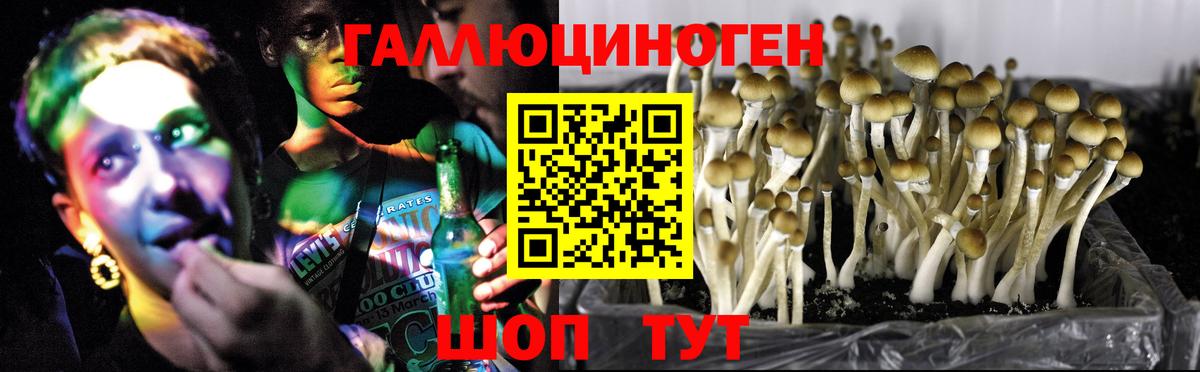 Псилоцибиновые грибы Cubensis  Псилоцибиновые грибы мухоморы  Усть-Илимск  Вход с VPN 